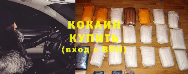 прущие грибы Балабаново