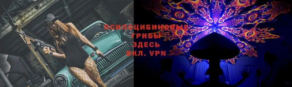 гашик Балахна