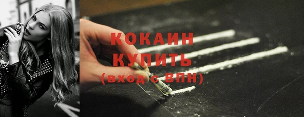 прущие грибы Балабаново
