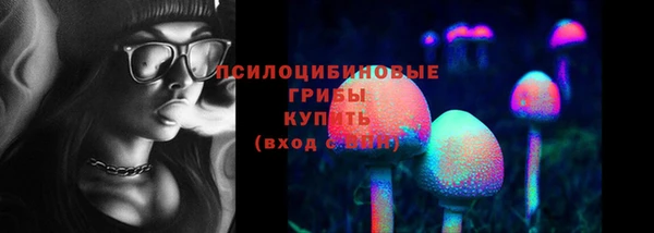 гашик Балахна