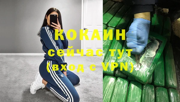 прущие грибы Балабаново