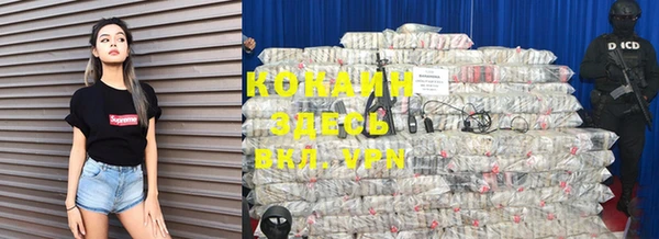 прущие грибы Балабаново