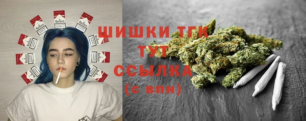 прущие грибы Балабаново