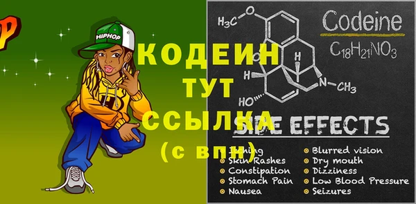 прущие грибы Сатка