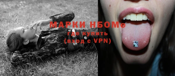 прущие грибы Балабаново