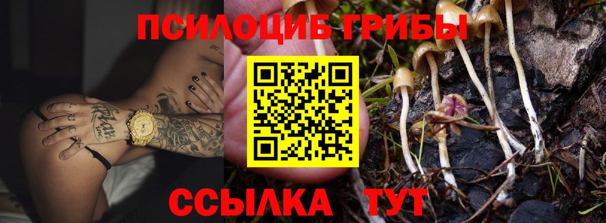 Белово  Галлюциногенные грибы прущие грибы  Вход с VPN  Галлюциногенные грибы мицелий 